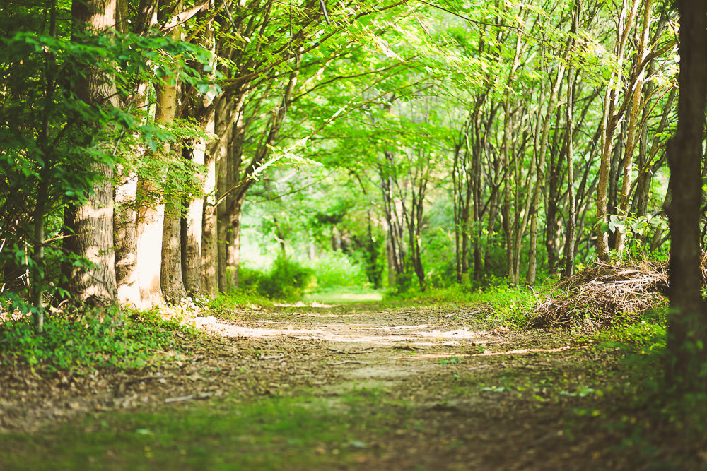 Biological Odor Treatment: Harnessing Nature's Power for Fresh Environments